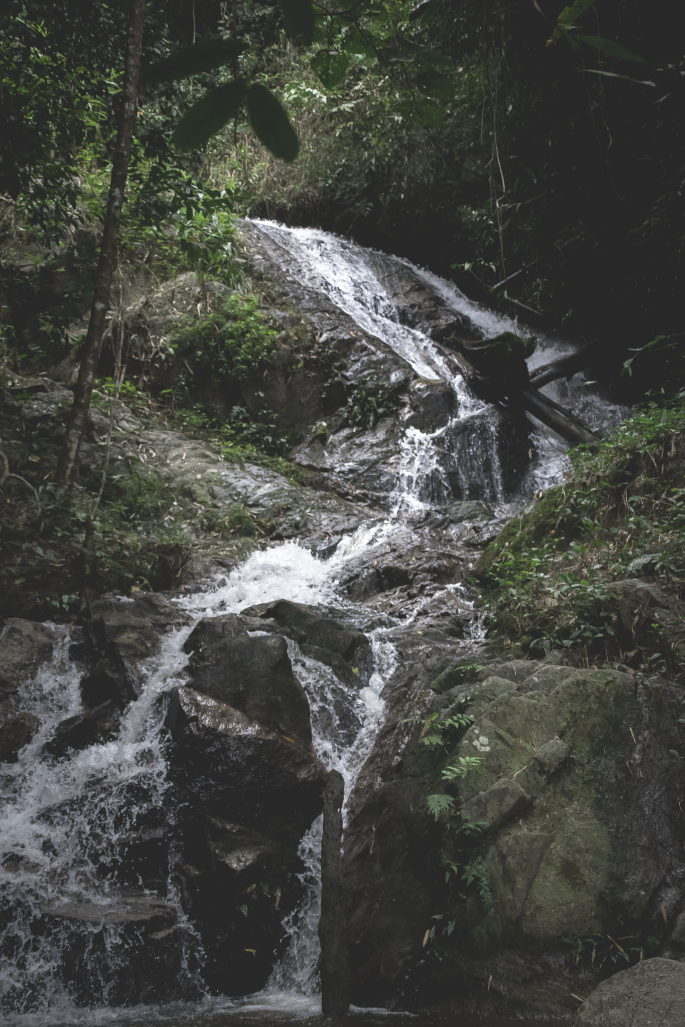 Nikon D3300 + Sigma 28-300mm F3.5-6.3 DG Macro sample photo. Waterfall photography