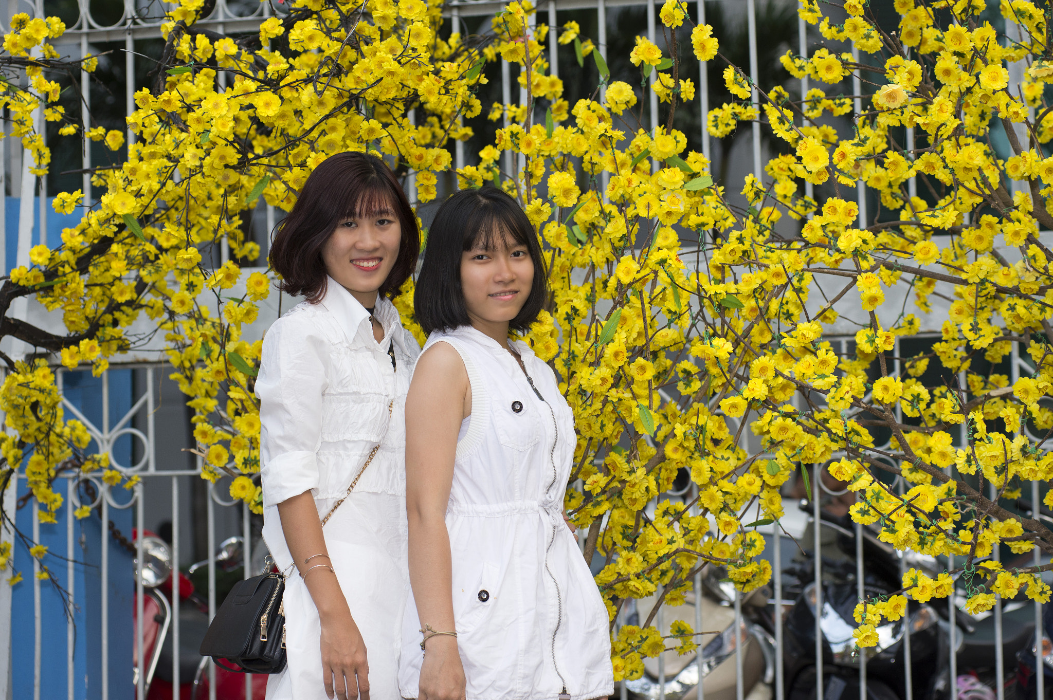 Nikon AF-Nikkor 80-200mm F2.8D ED sample photo. Dsc photography