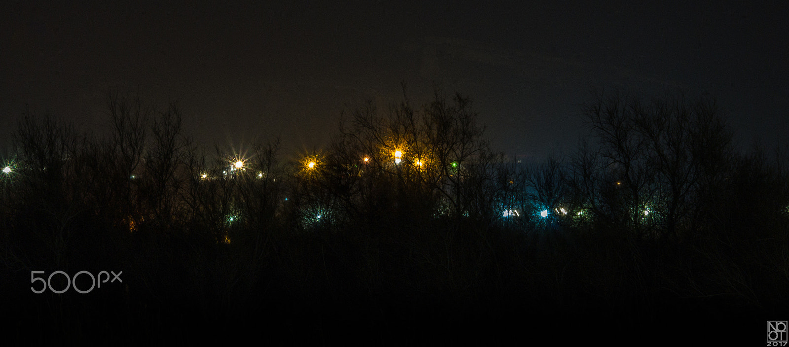 Panasonic Lumix DMC-GX7 sample photo. What’s hidden here? photography