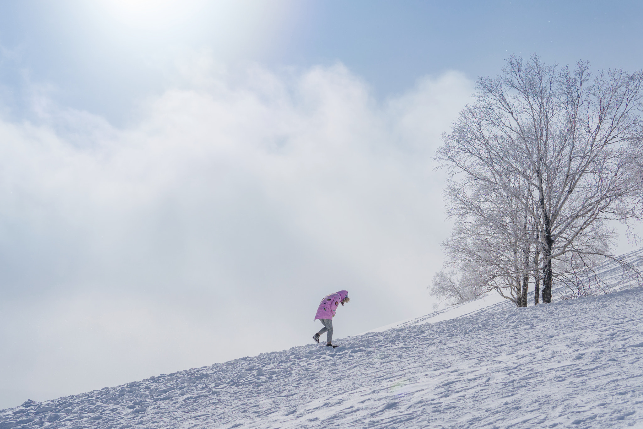 Sony a6300 + 30mm F1.4 DC DN | Contemporary 016 sample photo. Climbing the jokul photography