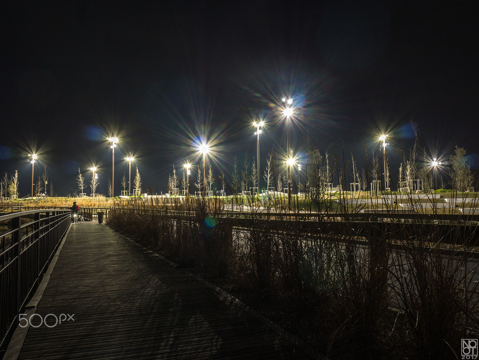 Panasonic Lumix DMC-GX7 sample photo. Night walk #2 photography