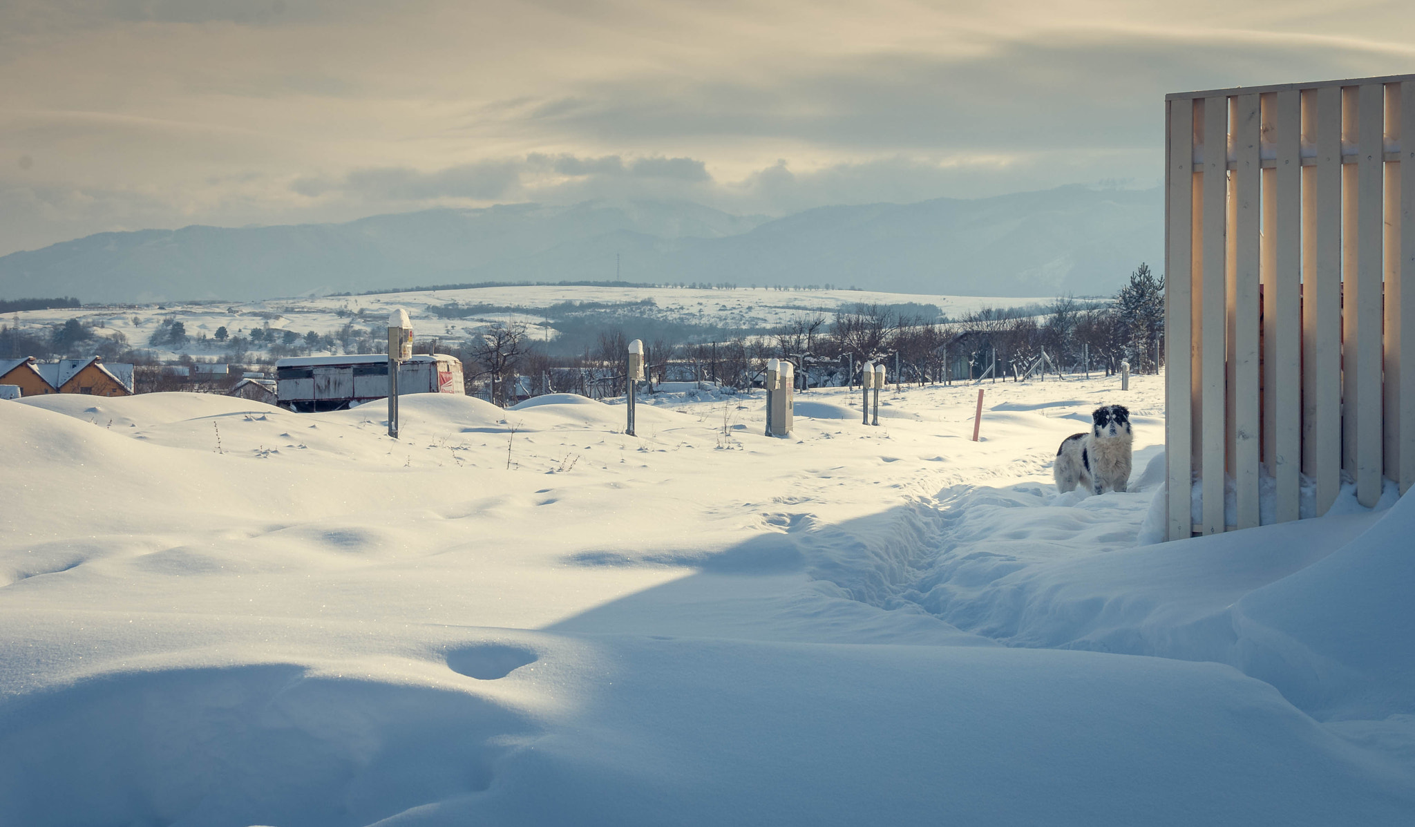 Nikon D60 + Nikon AF-S DX Nikkor 35mm F1.8G sample photo. Winter adventures photography