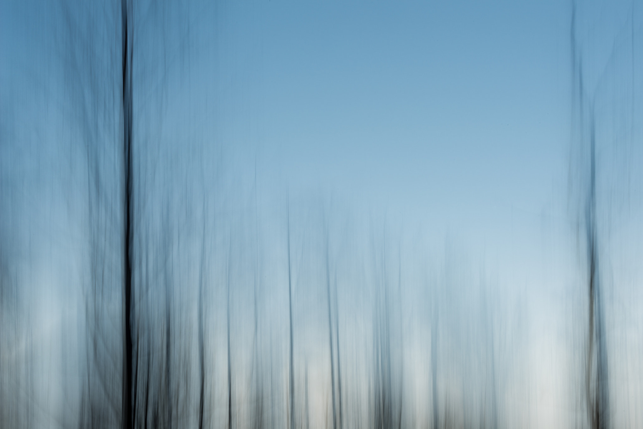 Nikon AF-S Nikkor 70-200mm F4G ED VR sample photo. Mystic trees photography