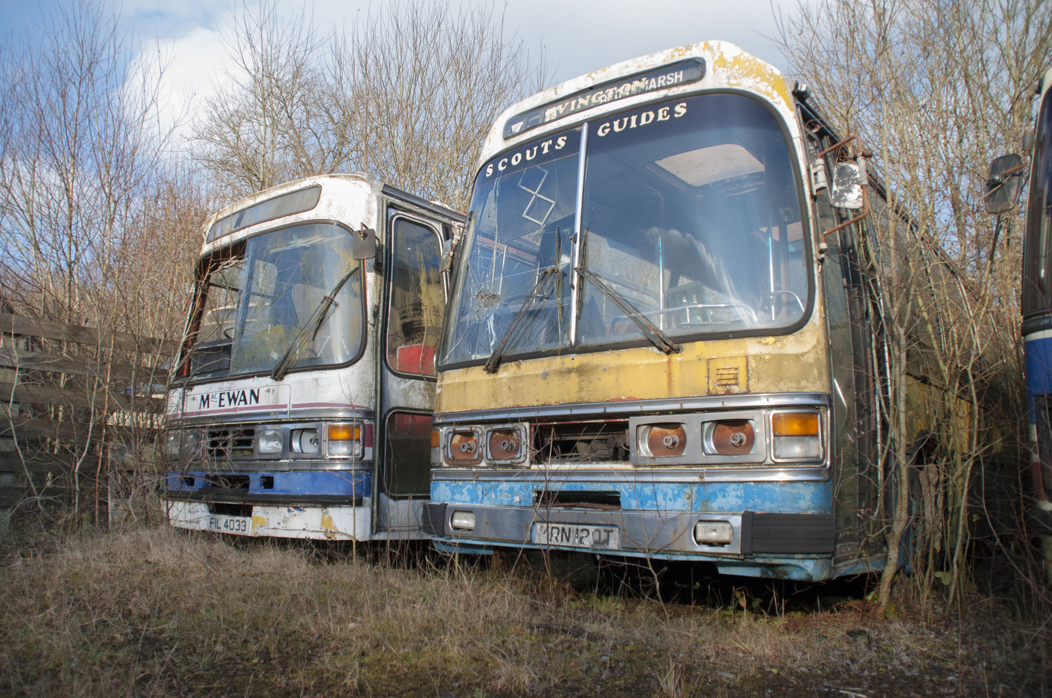 Nikon D5000 sample photo. Bus graveyard abandoned buses photography