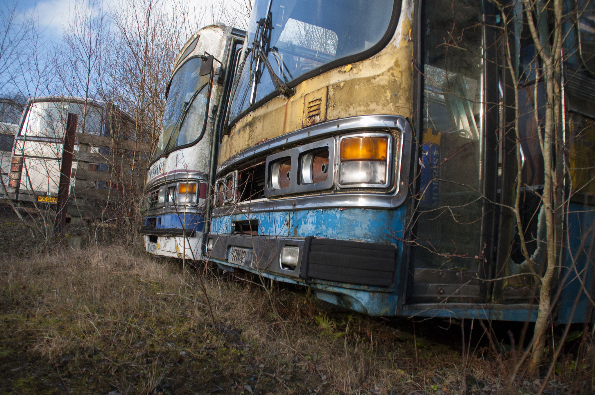 Nikon D5000 sample photo. Bus graveyard abandoned buses photography