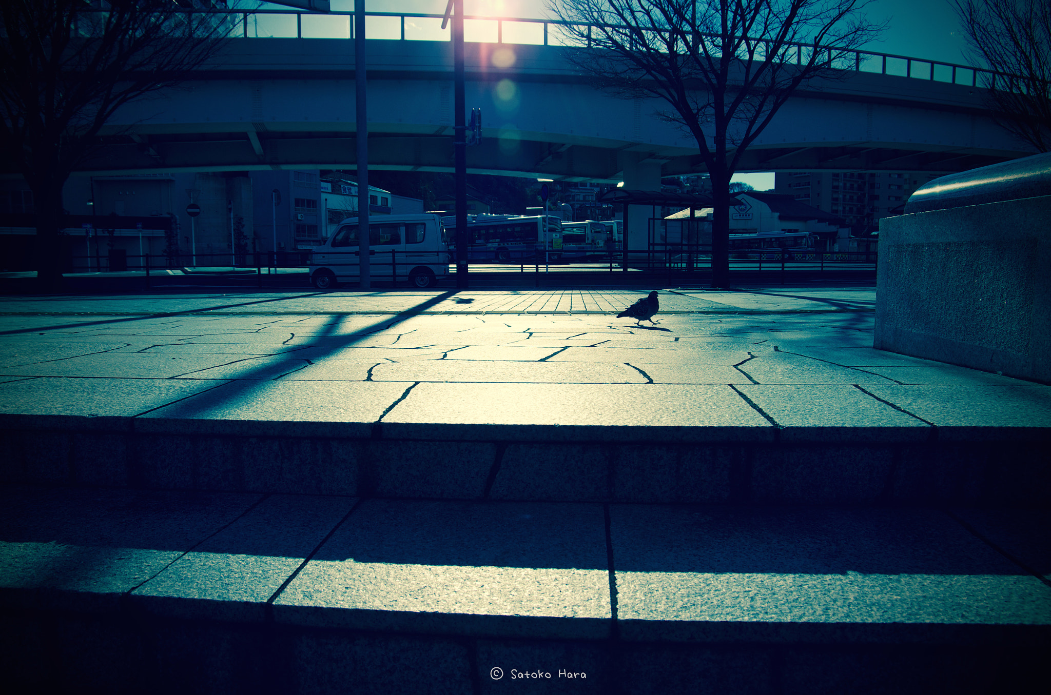 Pentax smc DA* 16-50mm F2.8 ED AL (IF) SDM sample photo. Pass photography