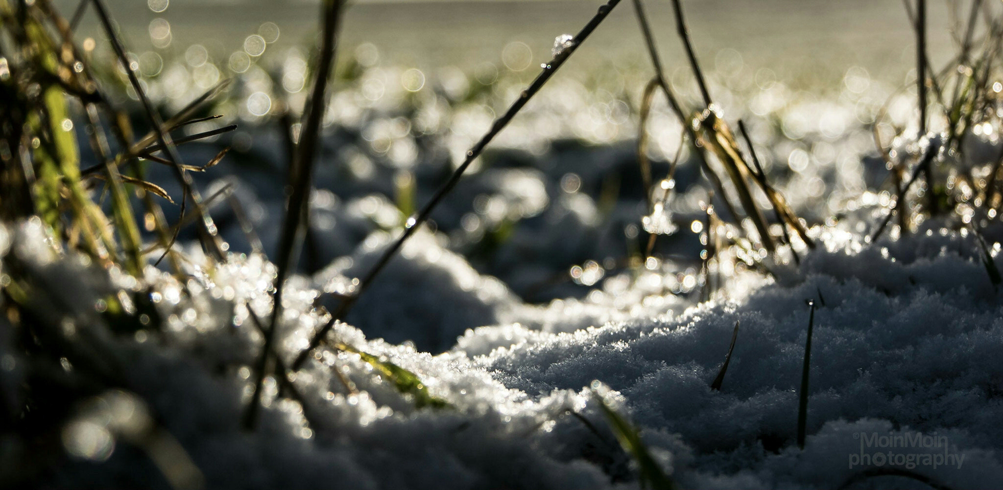 Panasonic DMC-G70 + Panasonic Lumix G Vario 14-140mm F3.5-5.6 ASPH Power O.I.S sample photo. First snow  photography