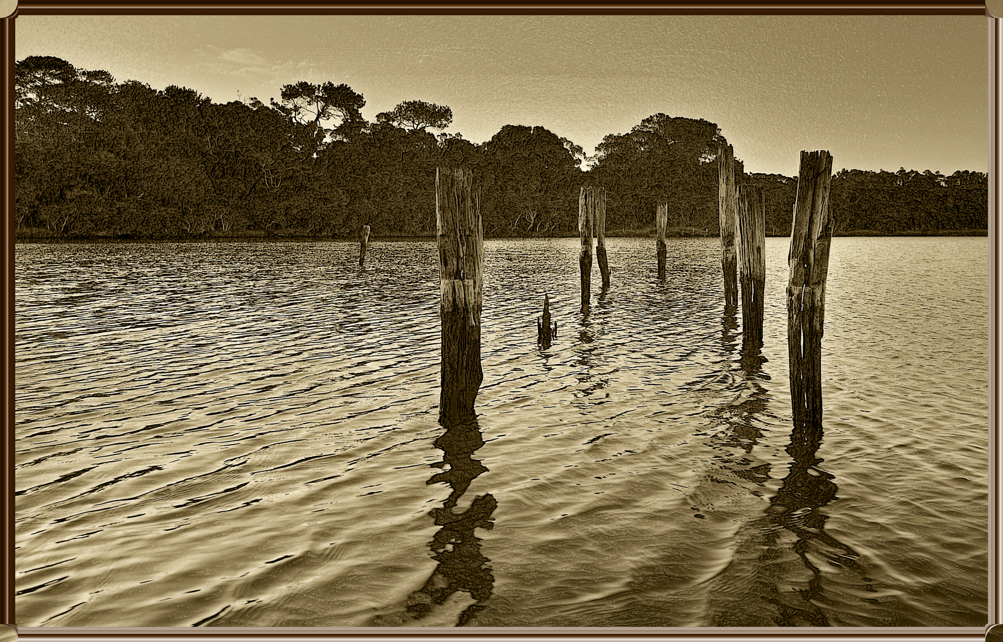 Tokina AT-X Pro 11-16mm F2.8 DX sample photo. Old poles photography