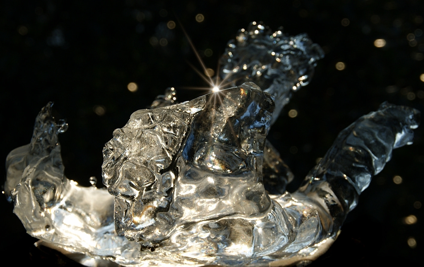 Sony Alpha DSLR-A290 + Sony DT 18-200mm F3.5-6.3 sample photo. Ice sculpture on the garden pond photography
