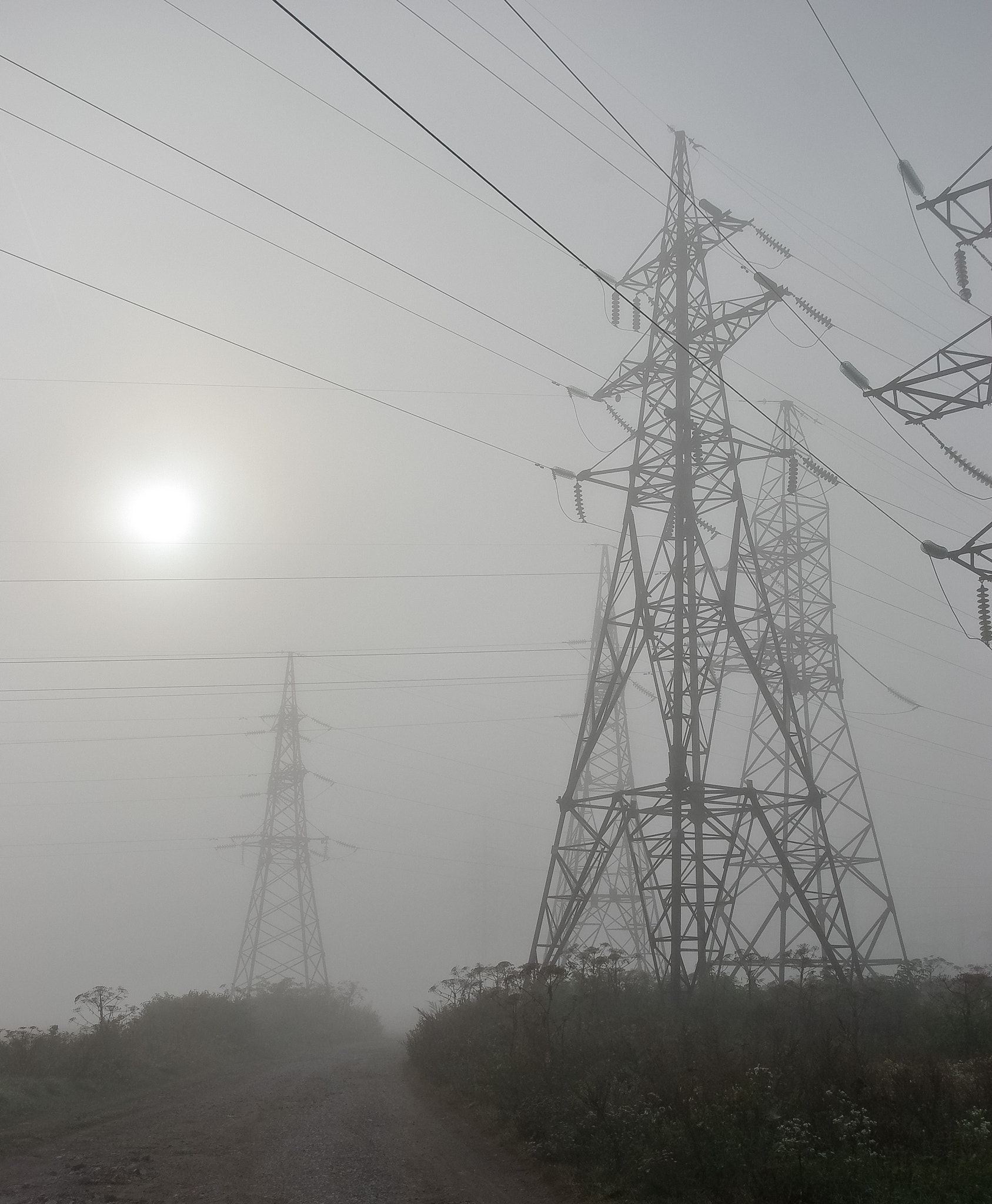 Pentax K200D sample photo. Electric columns in fog photography