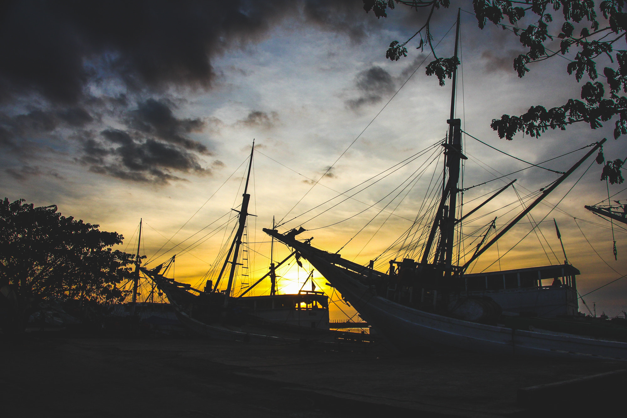Canon EOS 60D sample photo