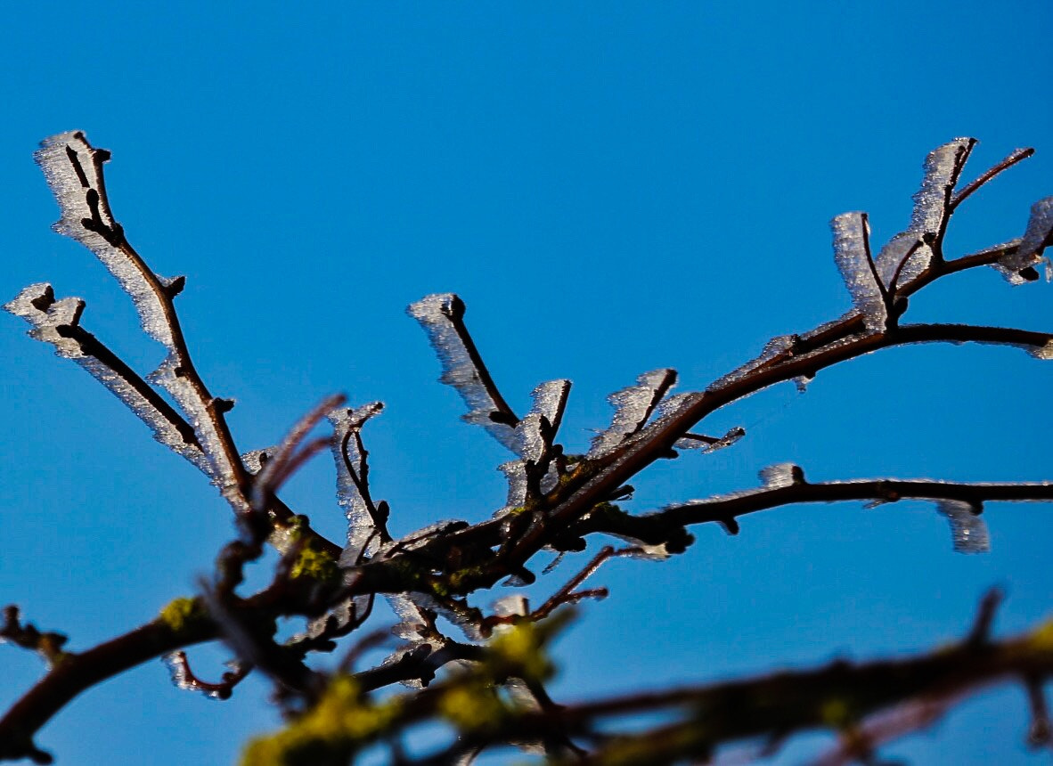 Canon EF 100-400mm F4.5-5.6L IS USM sample photo. Slow thaw photography
