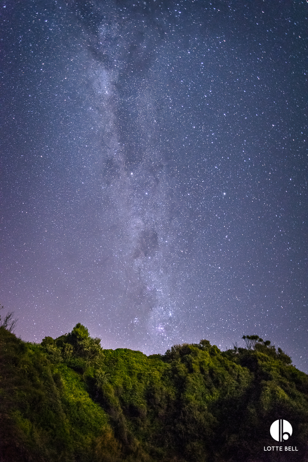 Nikon D810 sample photo. Southern night skies photography