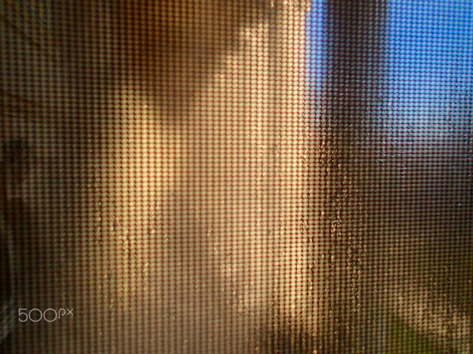 Olympus TG-2 sample photo. (look closely, don't look closely) photography
