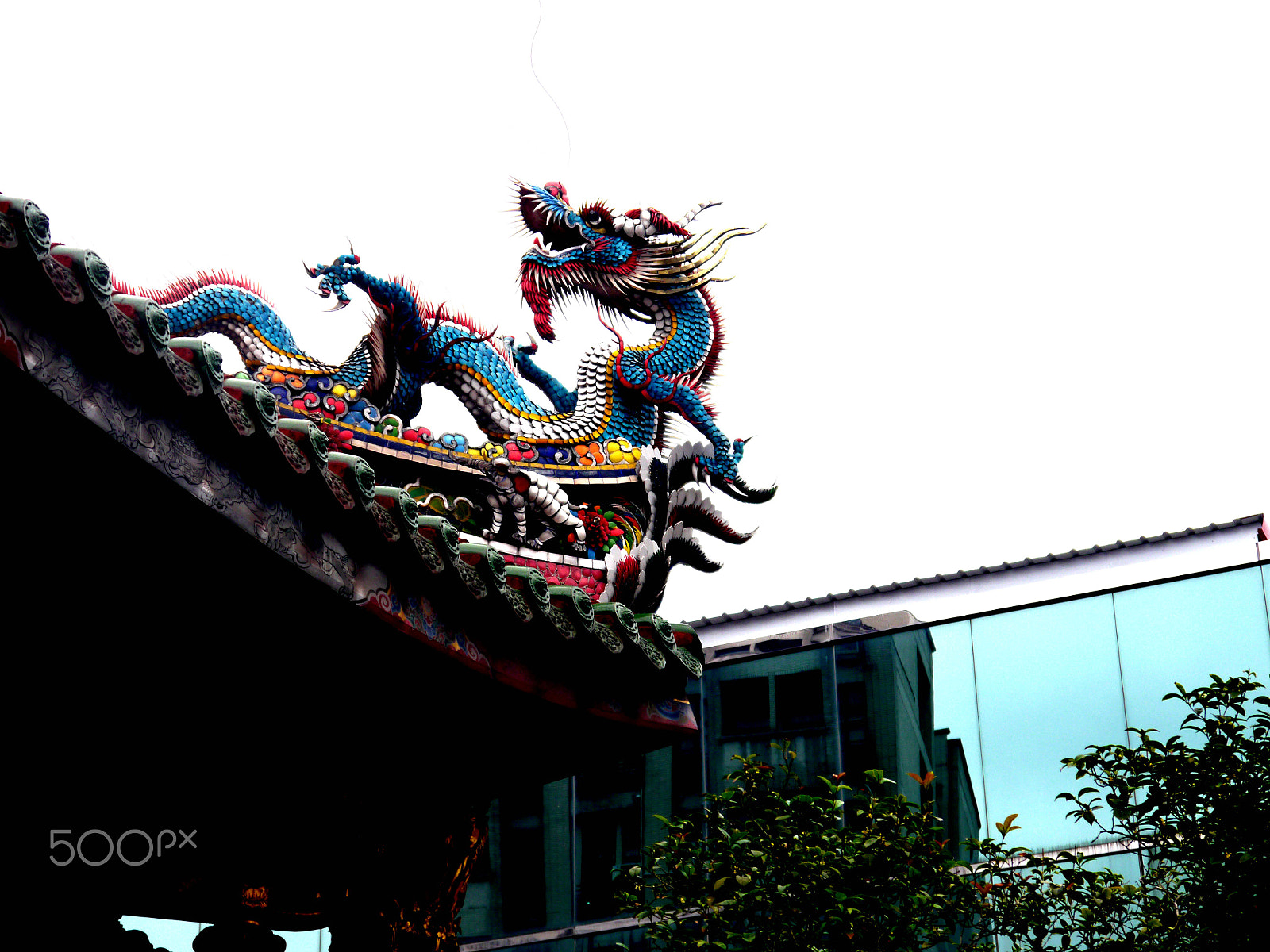 Panasonic Lumix DMC-G5 sample photo. Dragon photography