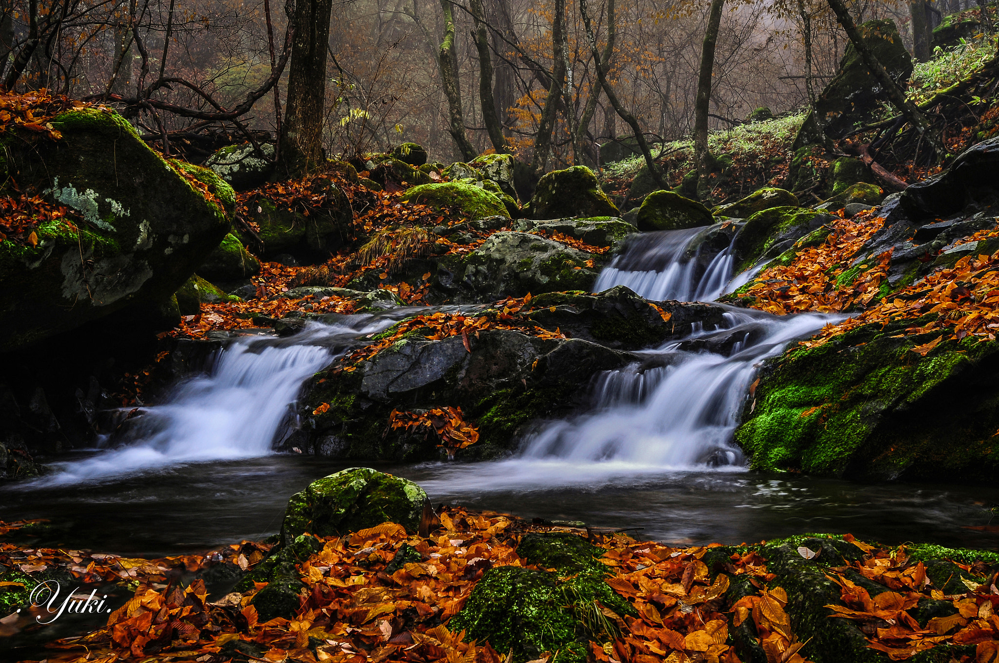 Nikon AF-S Nikkor 17-35mm F2.8D ED-IF sample photo. 水無川 晩秋Ⅱ photography