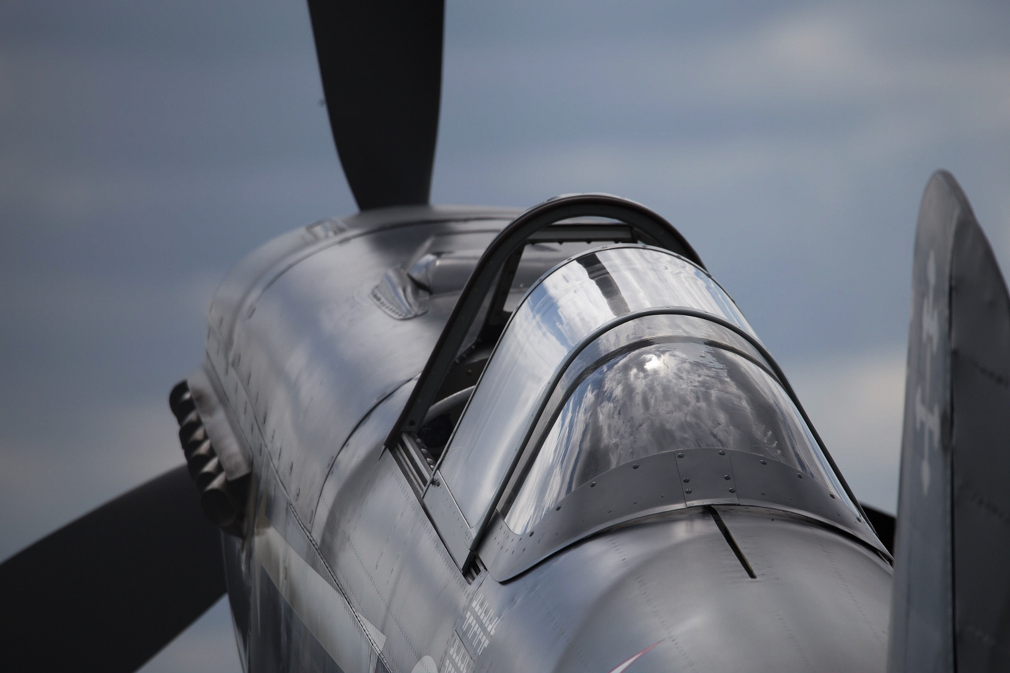150-600mm F5-6.3 DG OS HSM | Sports 014 sample photo. Yak-3 photography