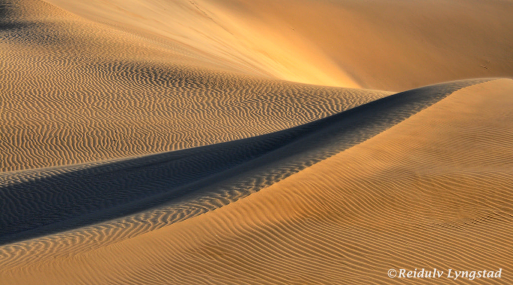Nikon D300 sample photo. Dunes 2 photography