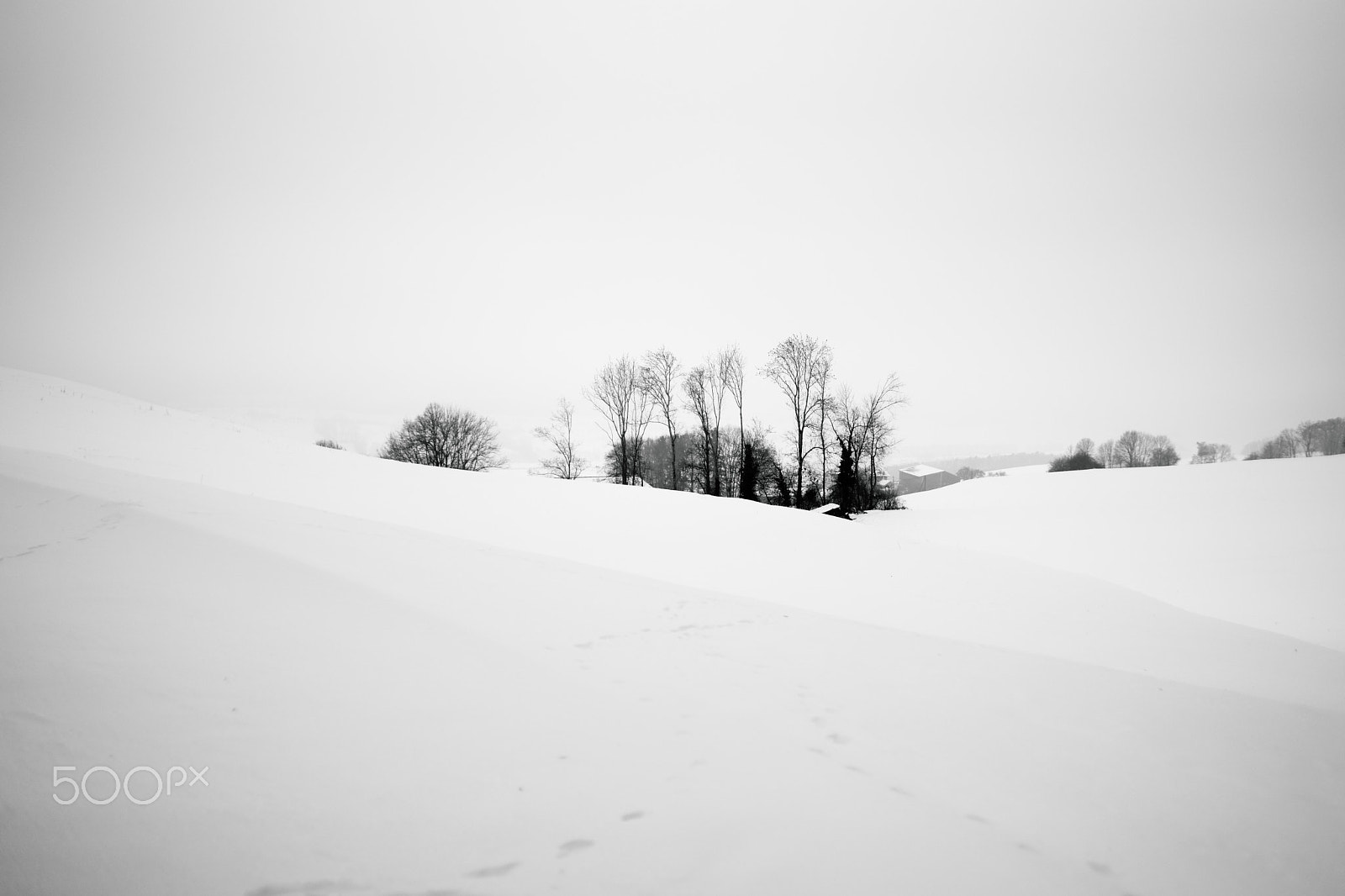 Sony a99 II + Sony 35mm F1.4 G sample photo. Chexbres -- mont pélerin, 20-01-2017, #2, bw photography