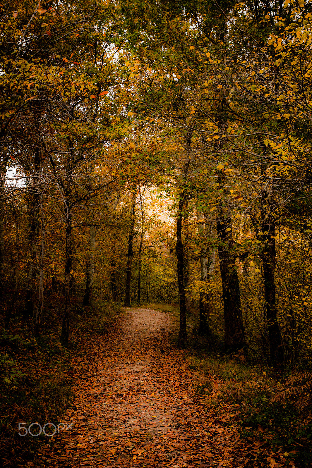 Sony Alpha DSLR-A700 sample photo. Paisaje photography