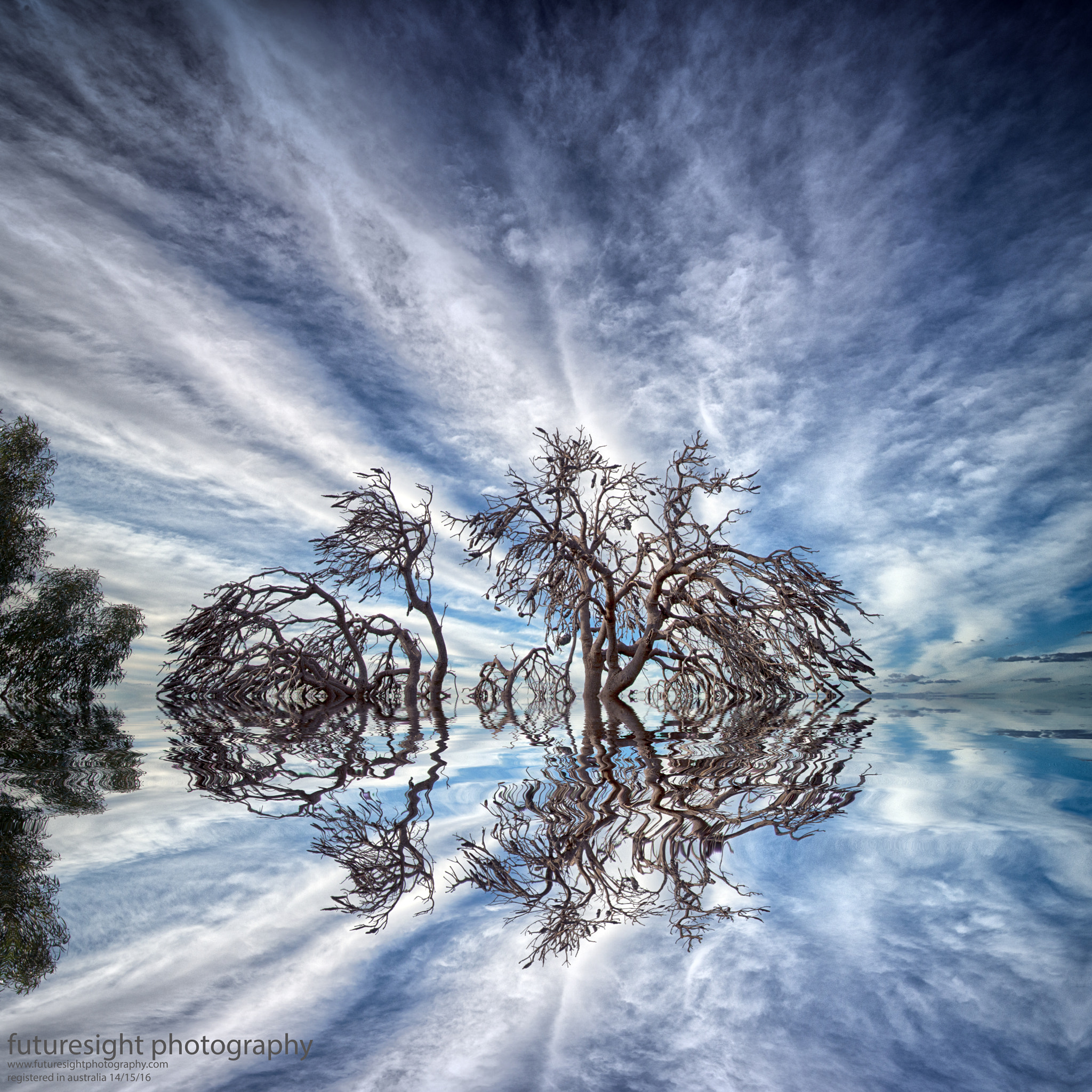 Nikon D800 sample photo. The aussie bush photography