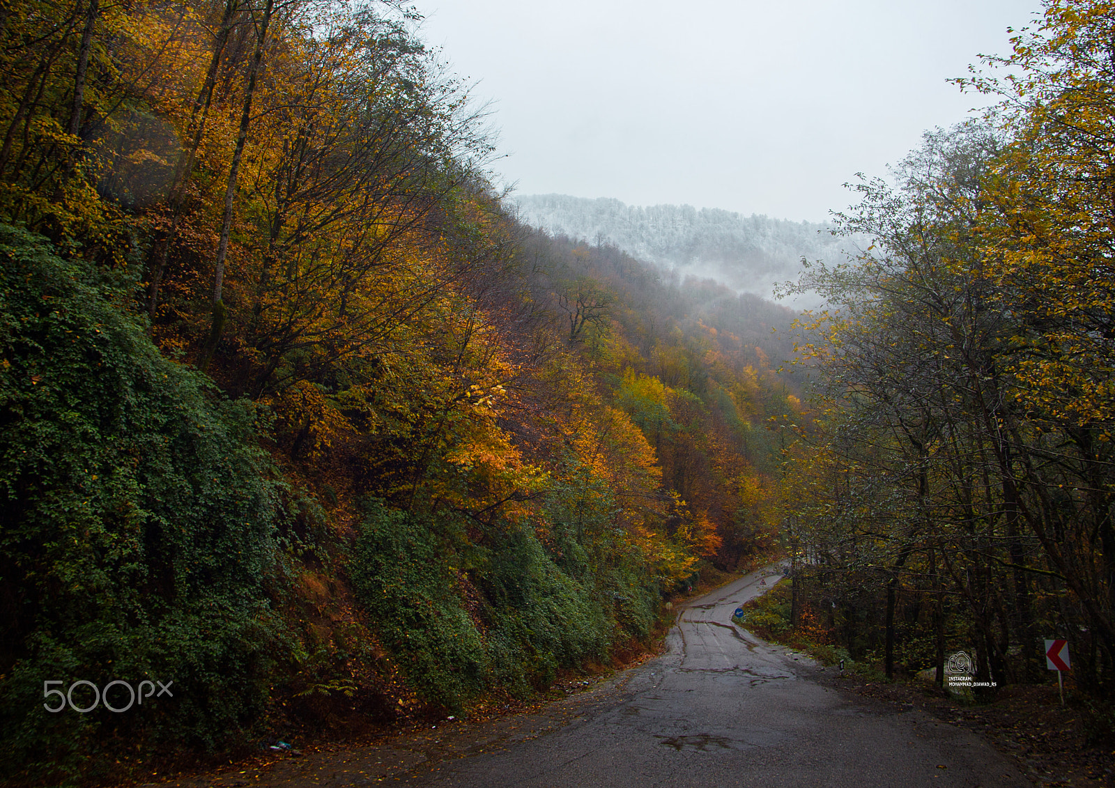 Tamron AF 19-35mm f/3.5-4.5 sample photo. Foggy forest photography