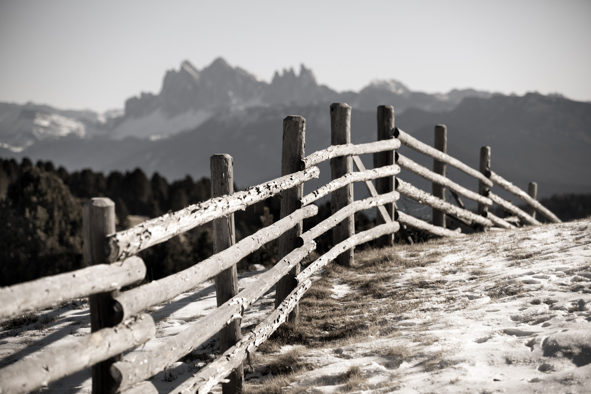 Sony Alpha DSLR-A900 + Minolta/Sony AF 70-200mm F2.8 G sample photo. Fence and geisler photography