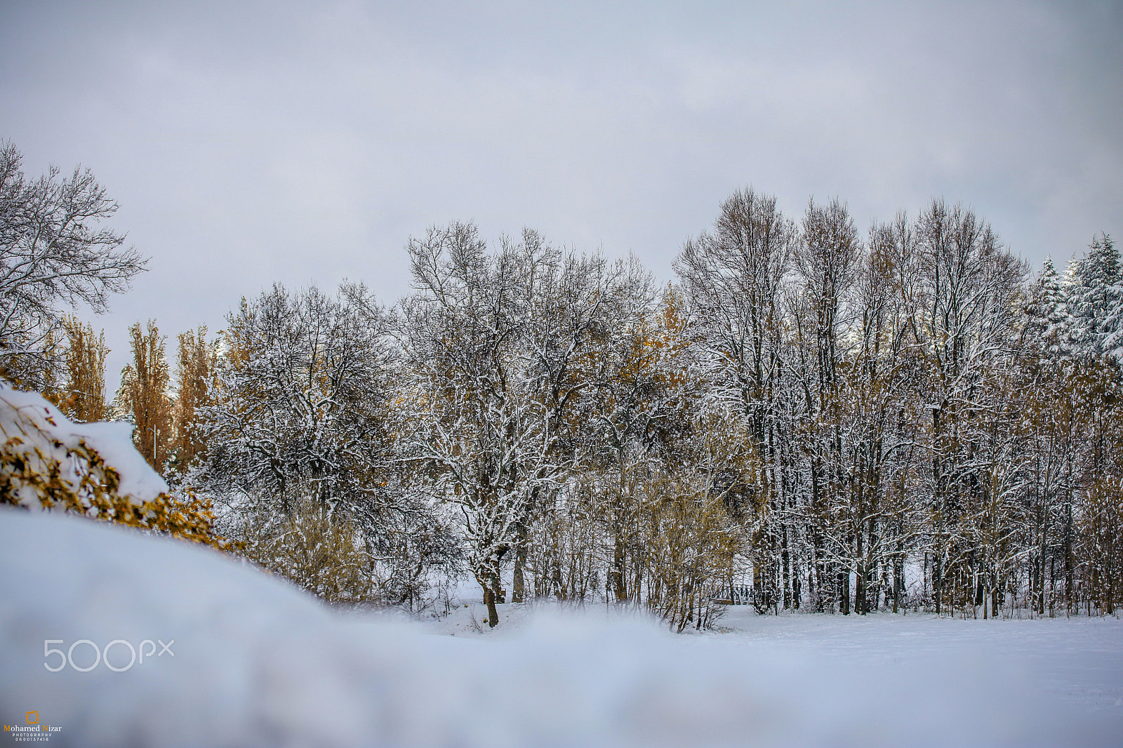 Canon EF-S 60mm F2.8 Macro USM sample photo. The snow photography