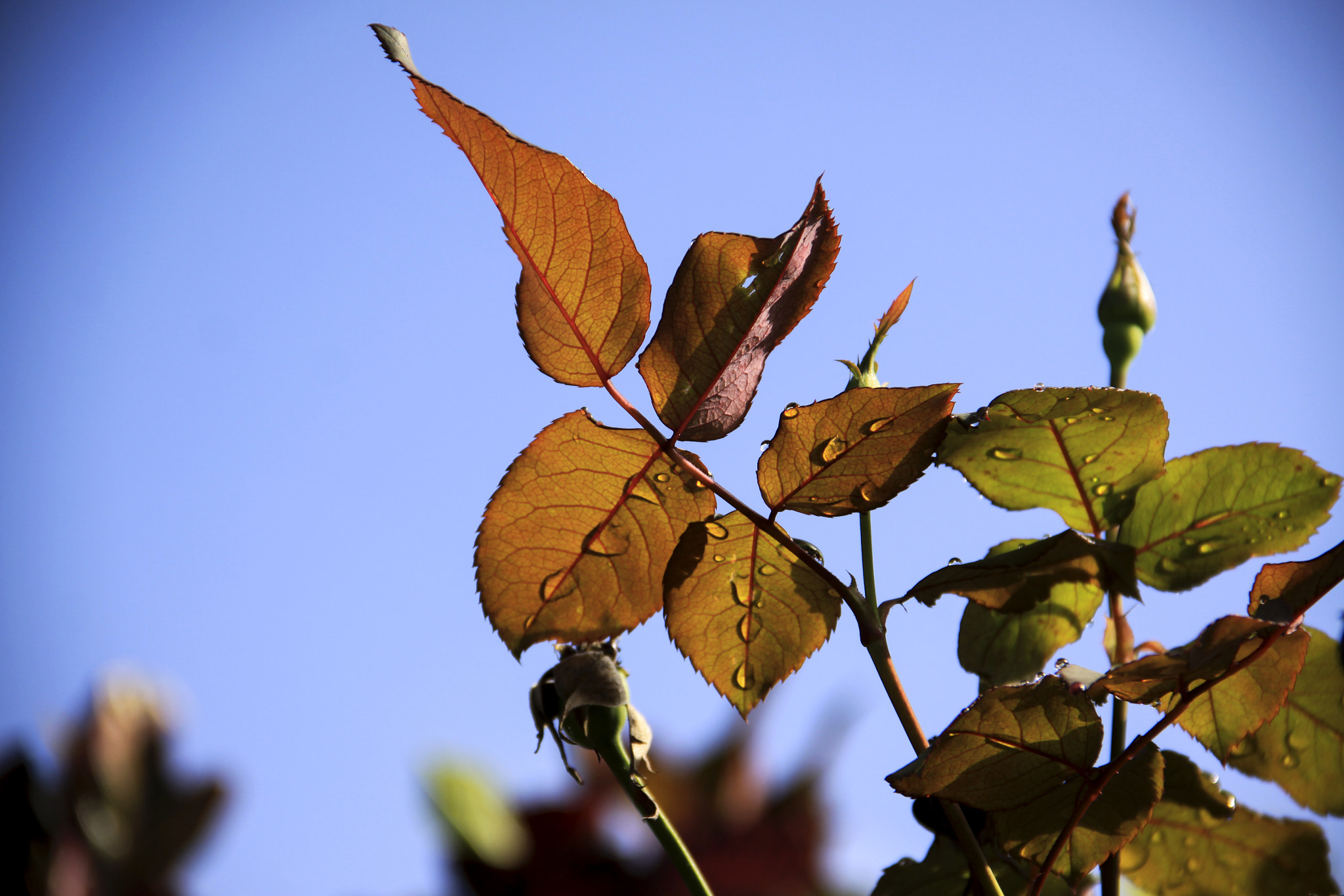 Canon EOS 50D sample photo. Hacia el amanecer photography