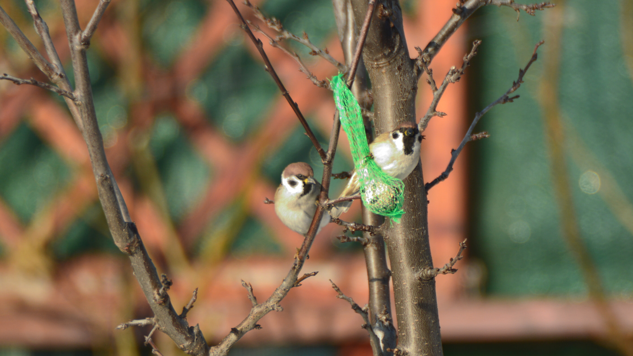 Sigma APO 170-500mm F5-6.3 Aspherical RF sample photo