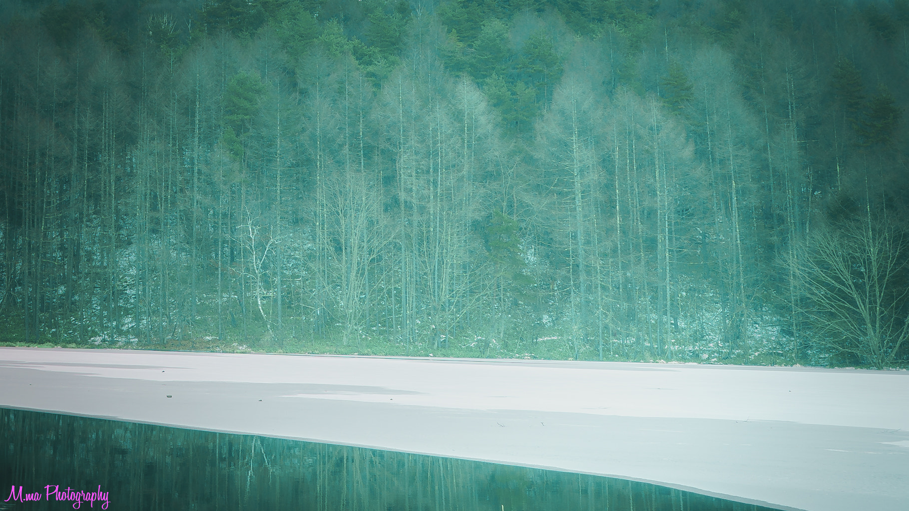 Sony a7S + Sony Distagon T* FE 35mm F1.4 ZA sample photo. A quiet forest photography