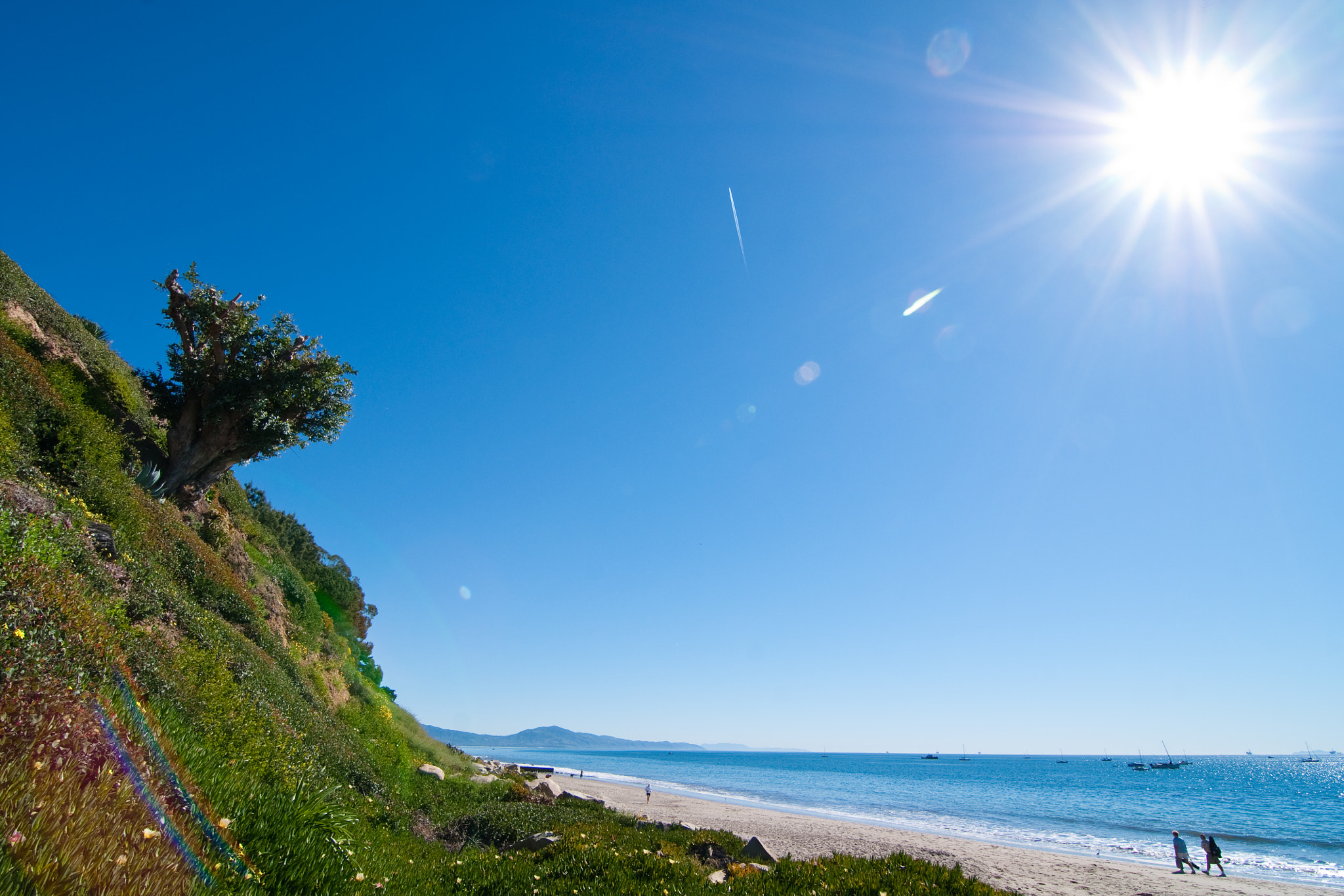 Sony Alpha DSLR-A700 + 20mm F2.8 sample photo. Basking in sunshine photography