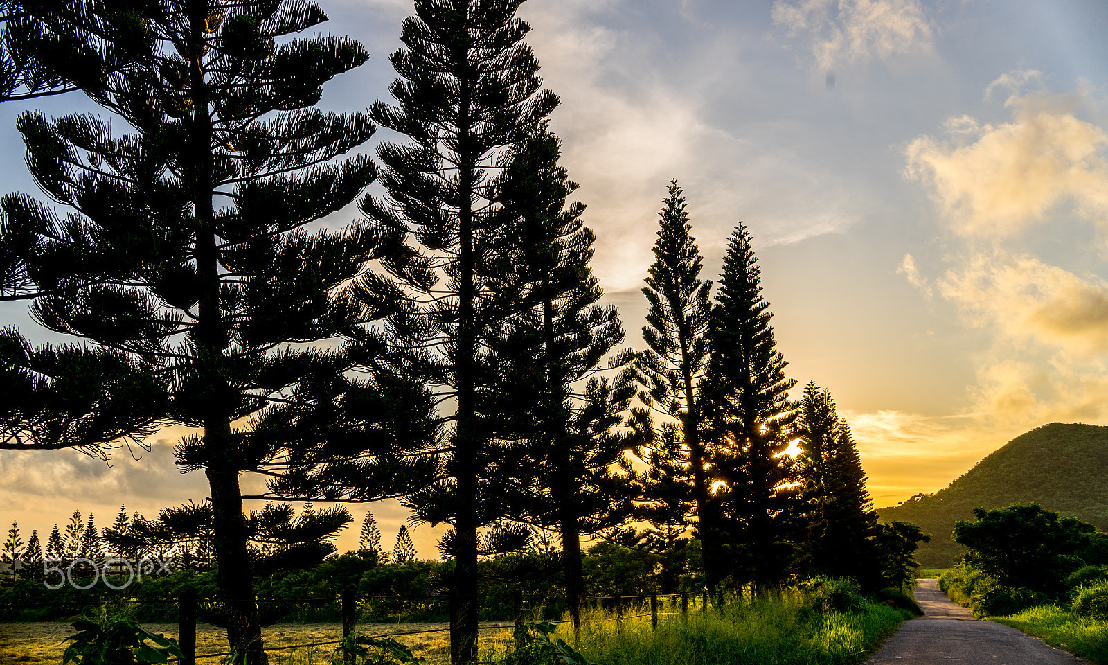 Sony a7 + Sigma 30mm F2.8 EX DN sample photo. Kenting photography