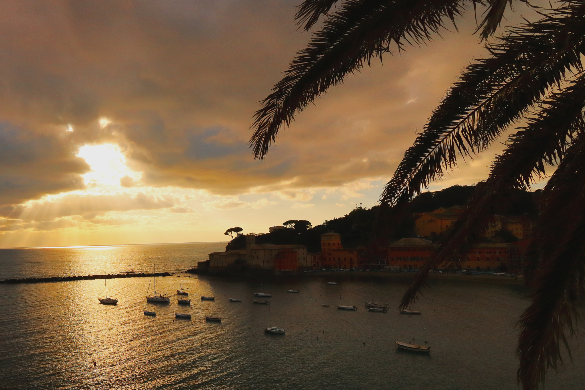 Canon EOS 750D (EOS Rebel T6i / EOS Kiss X8i) sample photo. Liguria ita photography