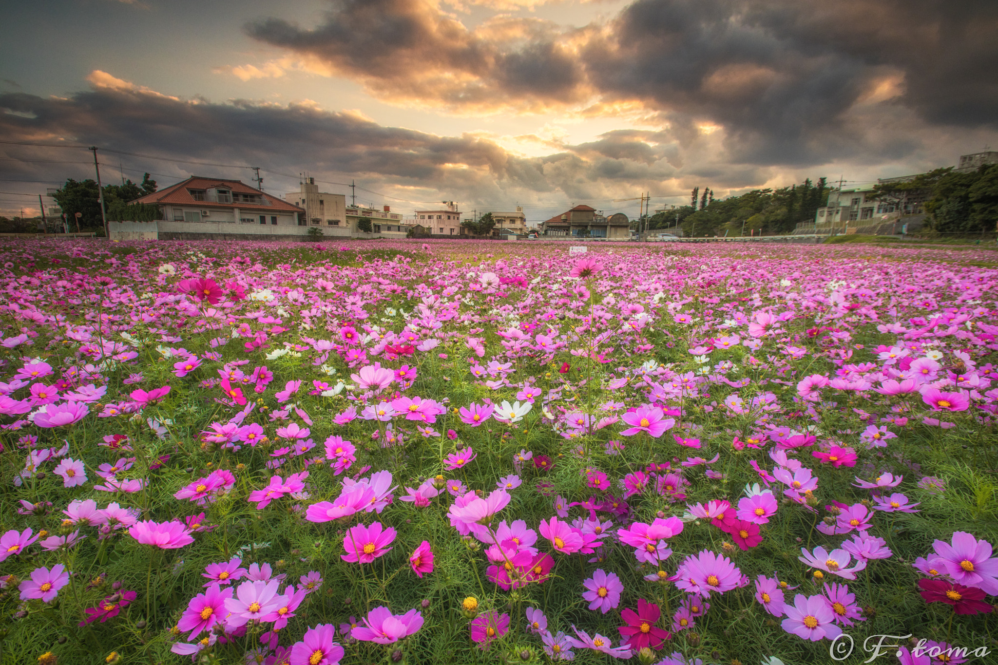Sigma 10-20mm F3.5 EX DC HSM sample photo. In the fading light photography
