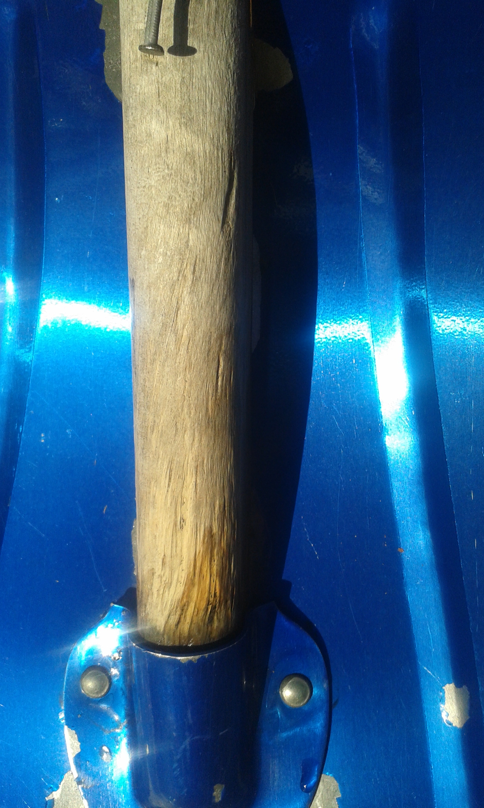 Samsung Galaxy Ace Style sample photo. Blue tool for winter.  photography