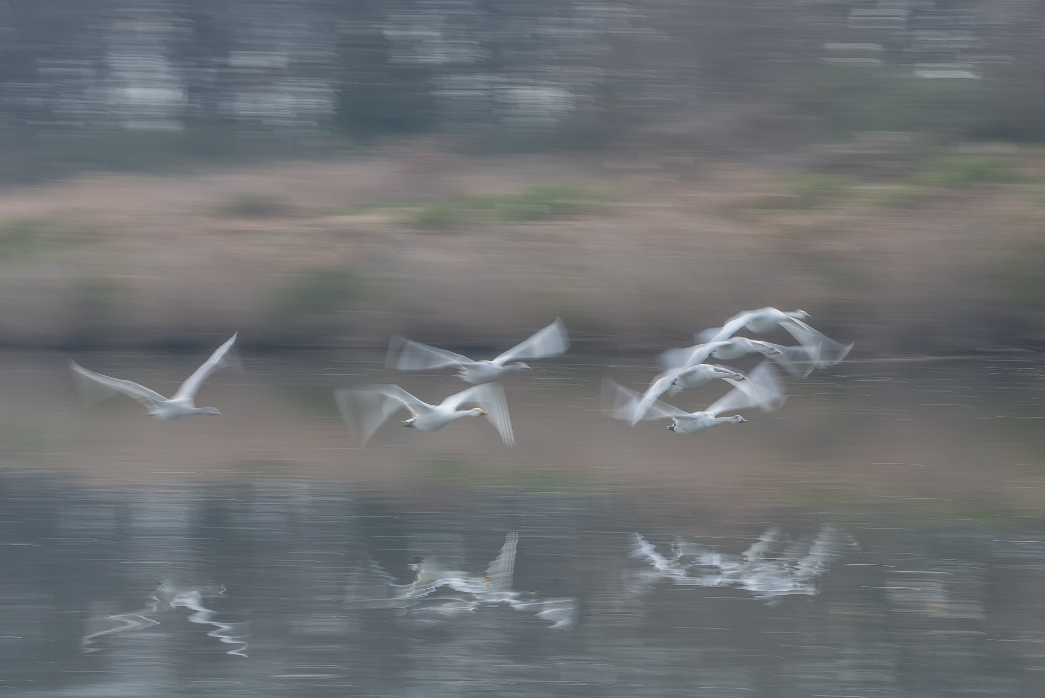 Nikon D800 sample photo. Both photography
