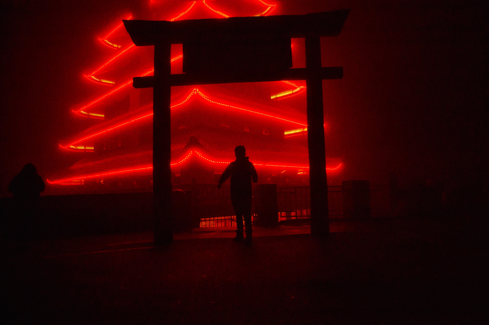 Nikon D40 sample photo. Dark red.  photography