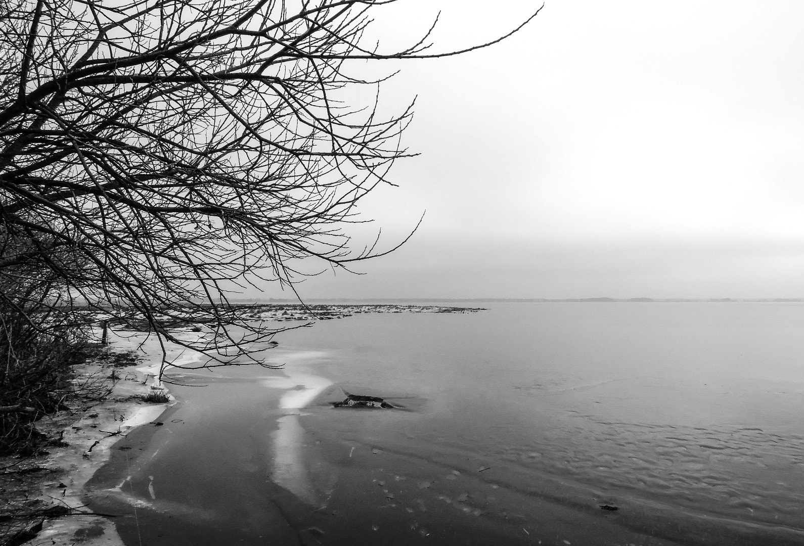 Nikon Coolpix P300 sample photo. Tree and frozen lake photography