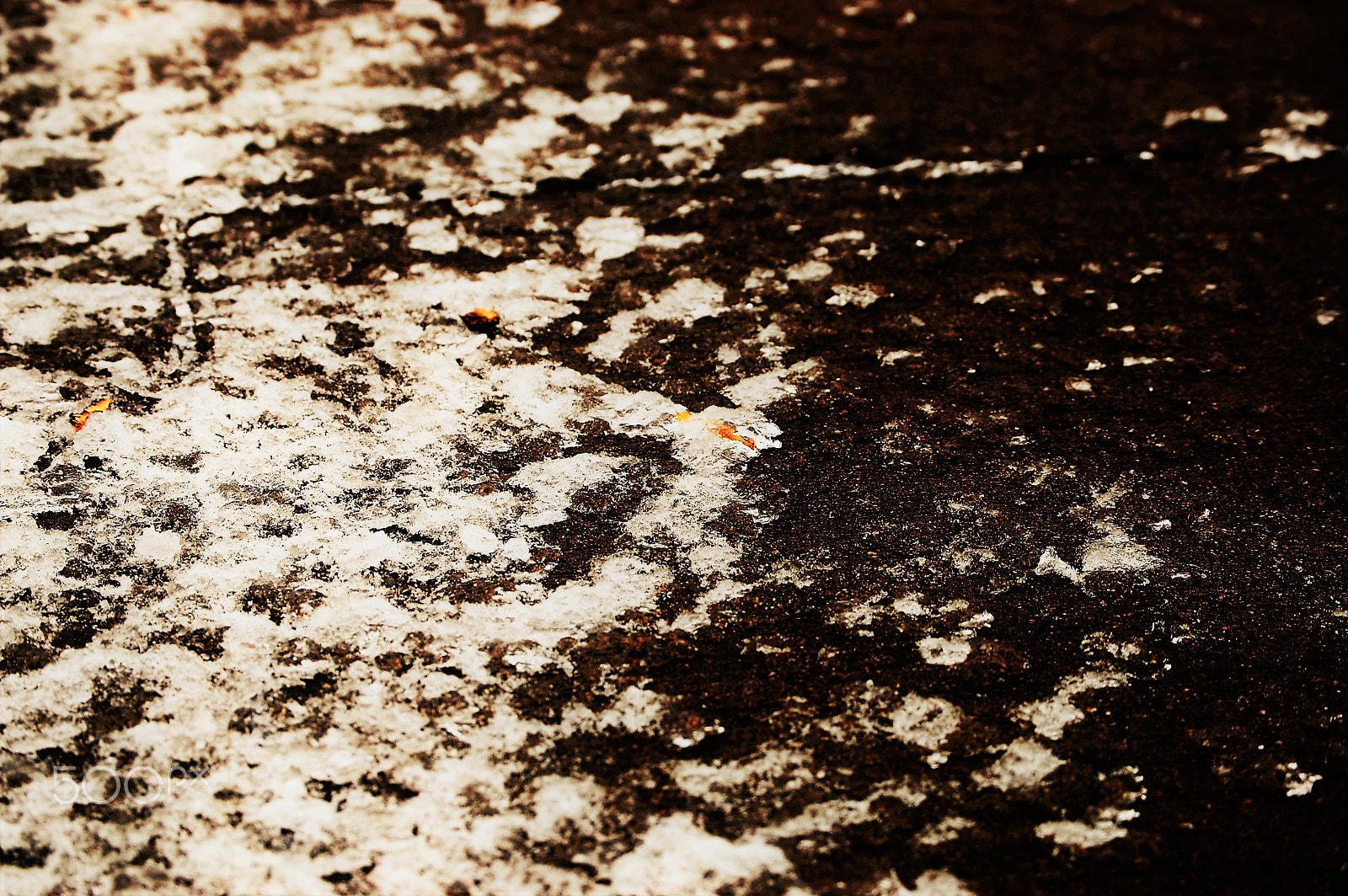 Nikon D40 sample photo. The melt photography