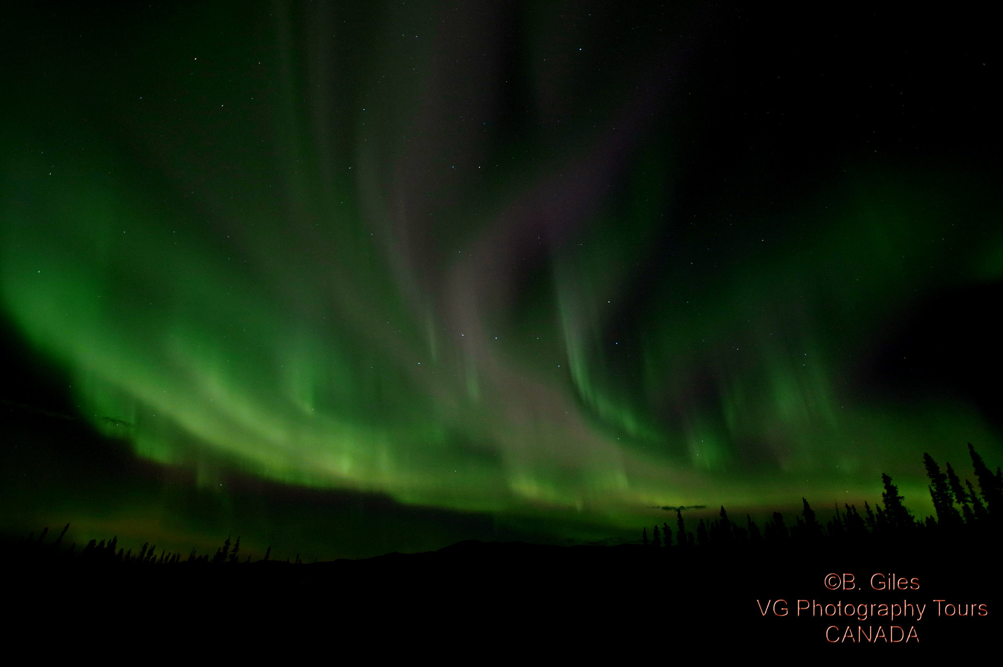Sigma AF 10-20mm F4-5.6 EX DC sample photo. 2016 yukon photo tour photography