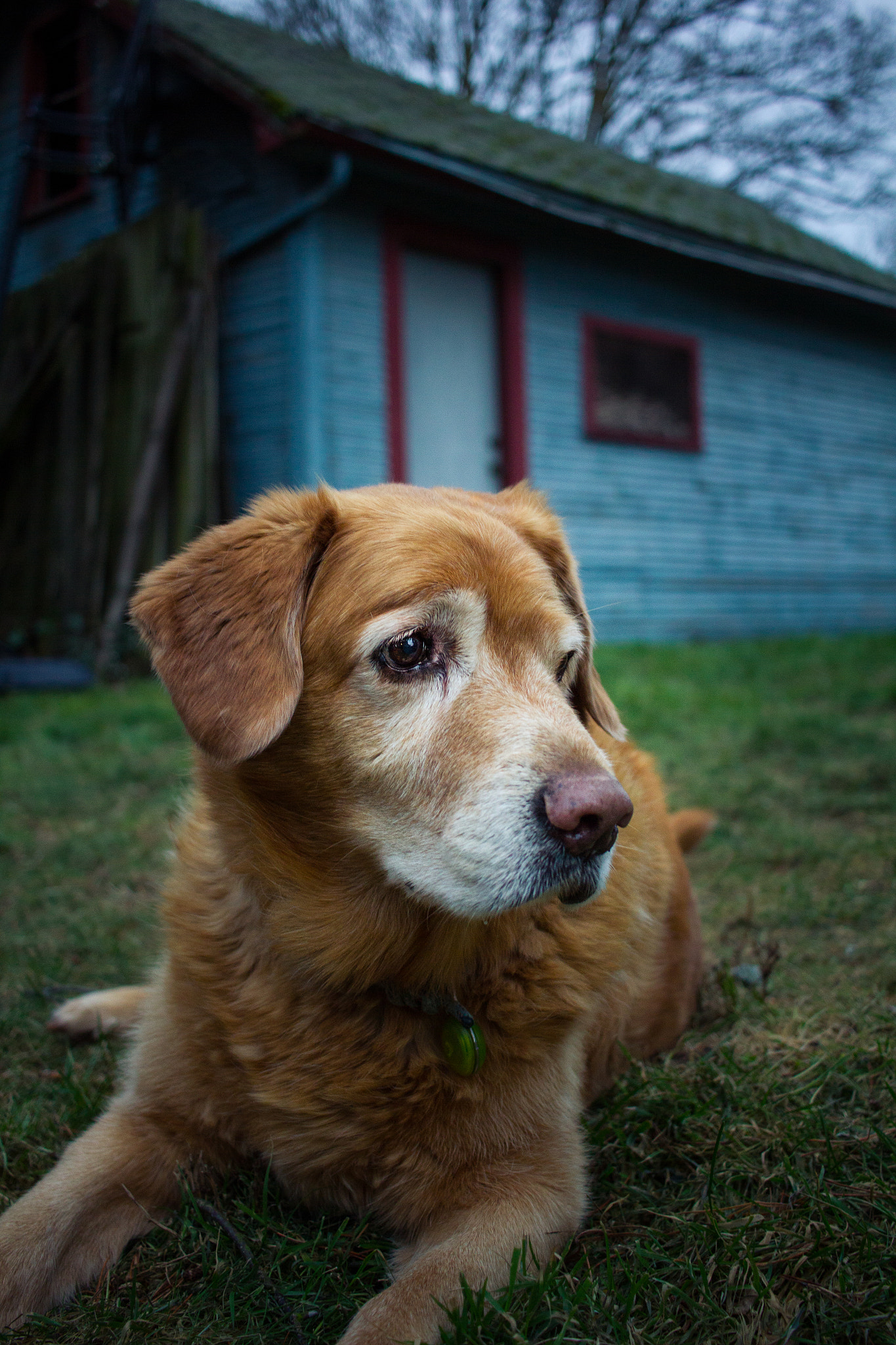 Canon EF-S 24mm F2.8 STM sample photo. Pete photography