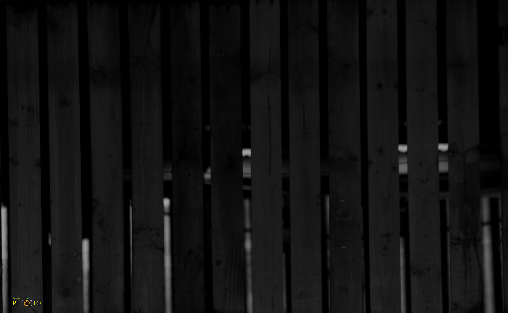 Canon EF 70-300mm F4-5.6 IS USM sample photo. Black and white photography