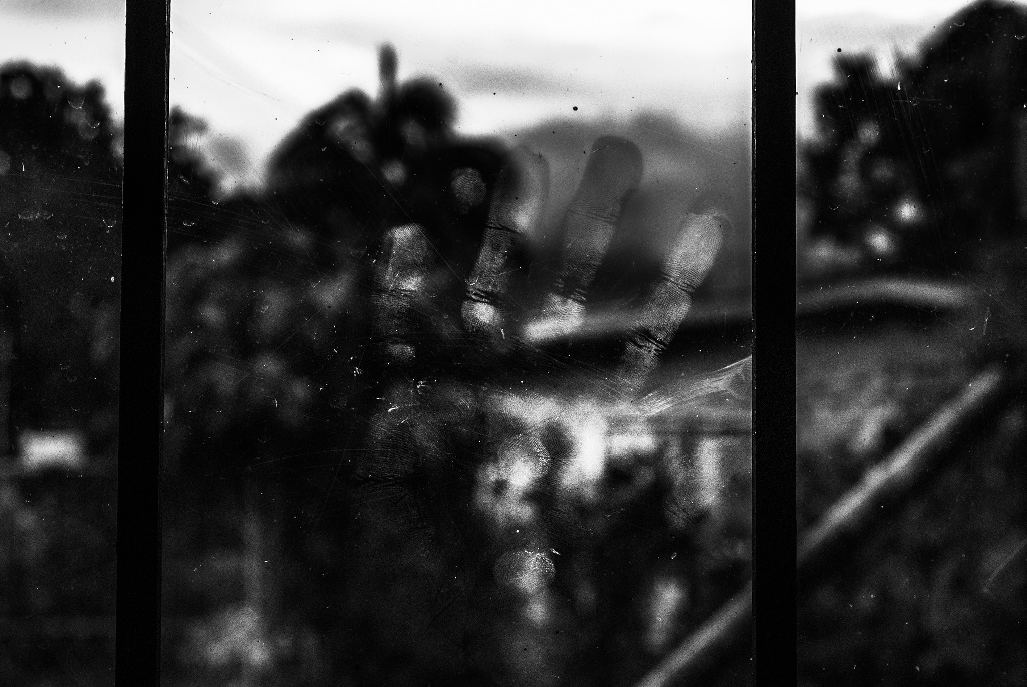 Nikon D60 sample photo. Fingerprint on window photography