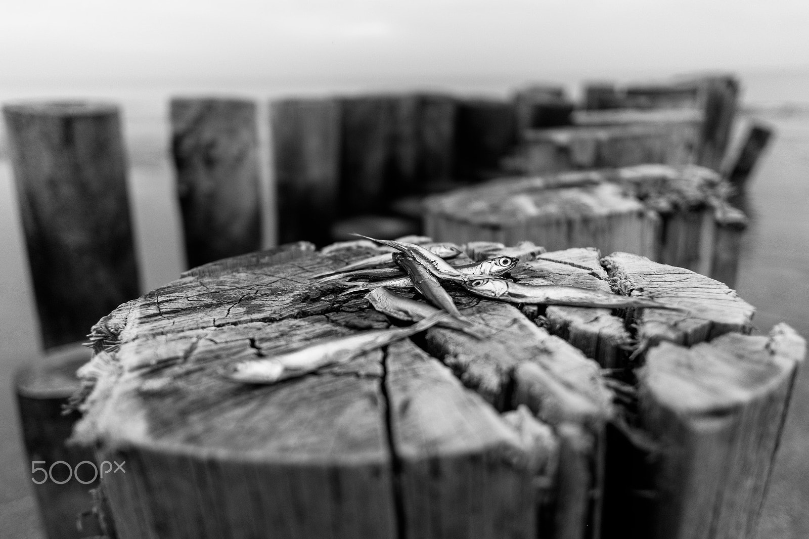 Fujifilm X-T1 + Fujifilm XF 18mm F2 R sample photo. Abandonment photography