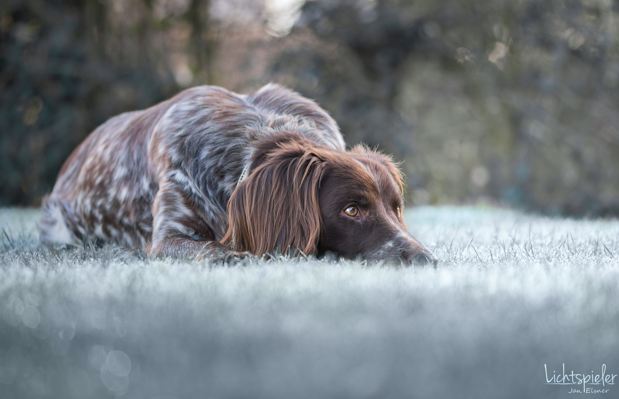 Sigma 105mm F2.8 EX DG OS HSM sample photo