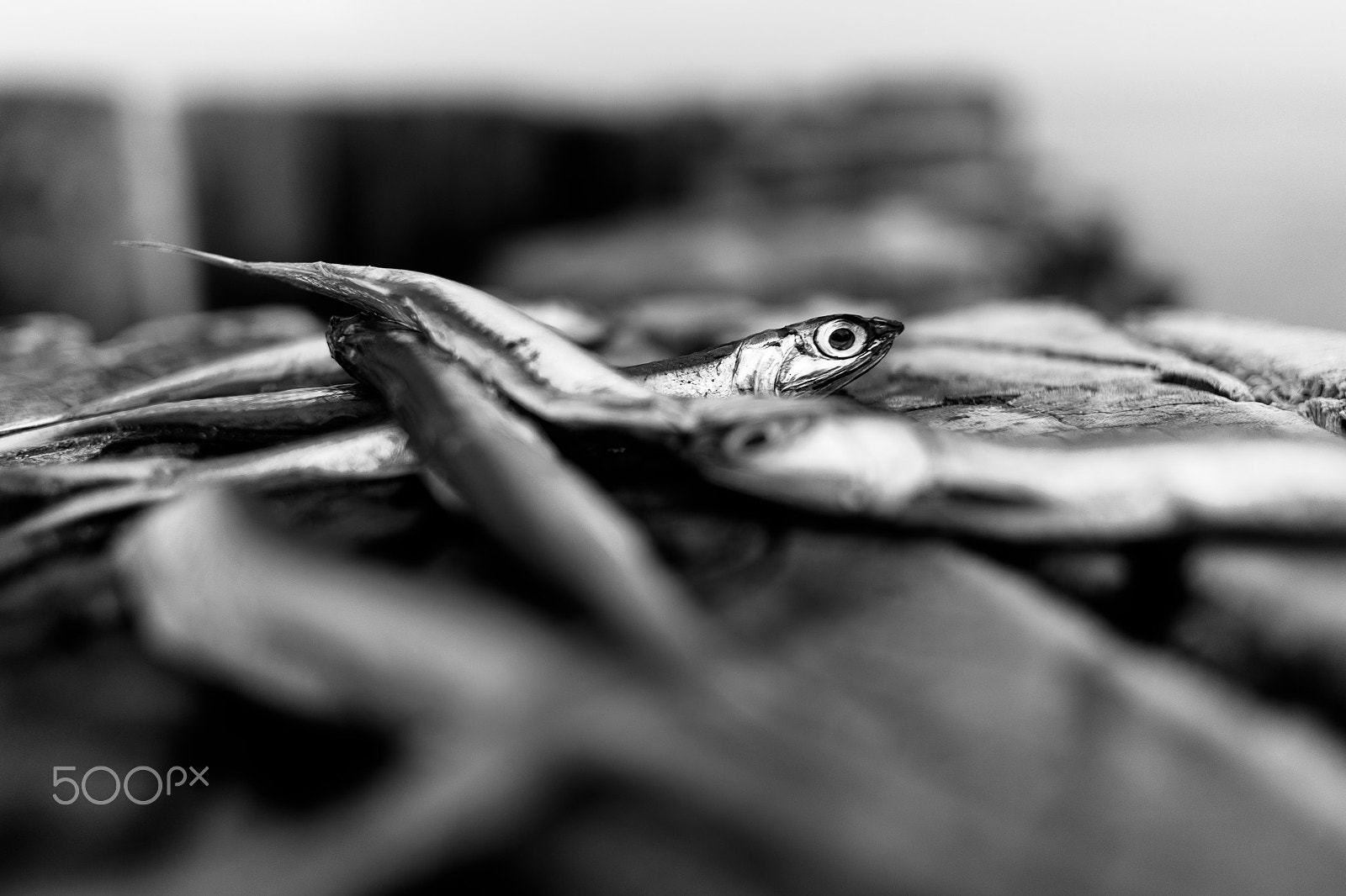 Fujifilm X-T1 + Fujifilm XF 18mm F2 R sample photo. Abandonment photography