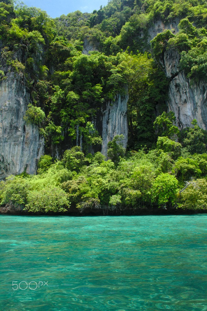 Canon EF-S 18-55mm F3.5-5.6 II sample photo. Cliff and trees, phuket photography
