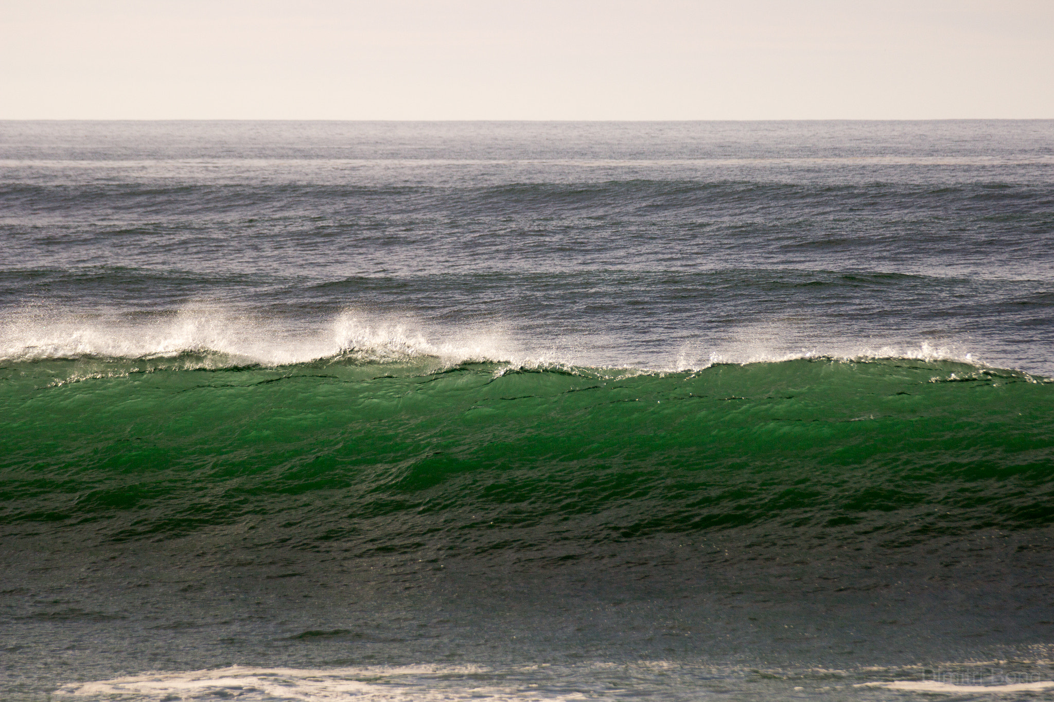 Canon EOS 600D (Rebel EOS T3i / EOS Kiss X5) sample photo. Oregon coast photography