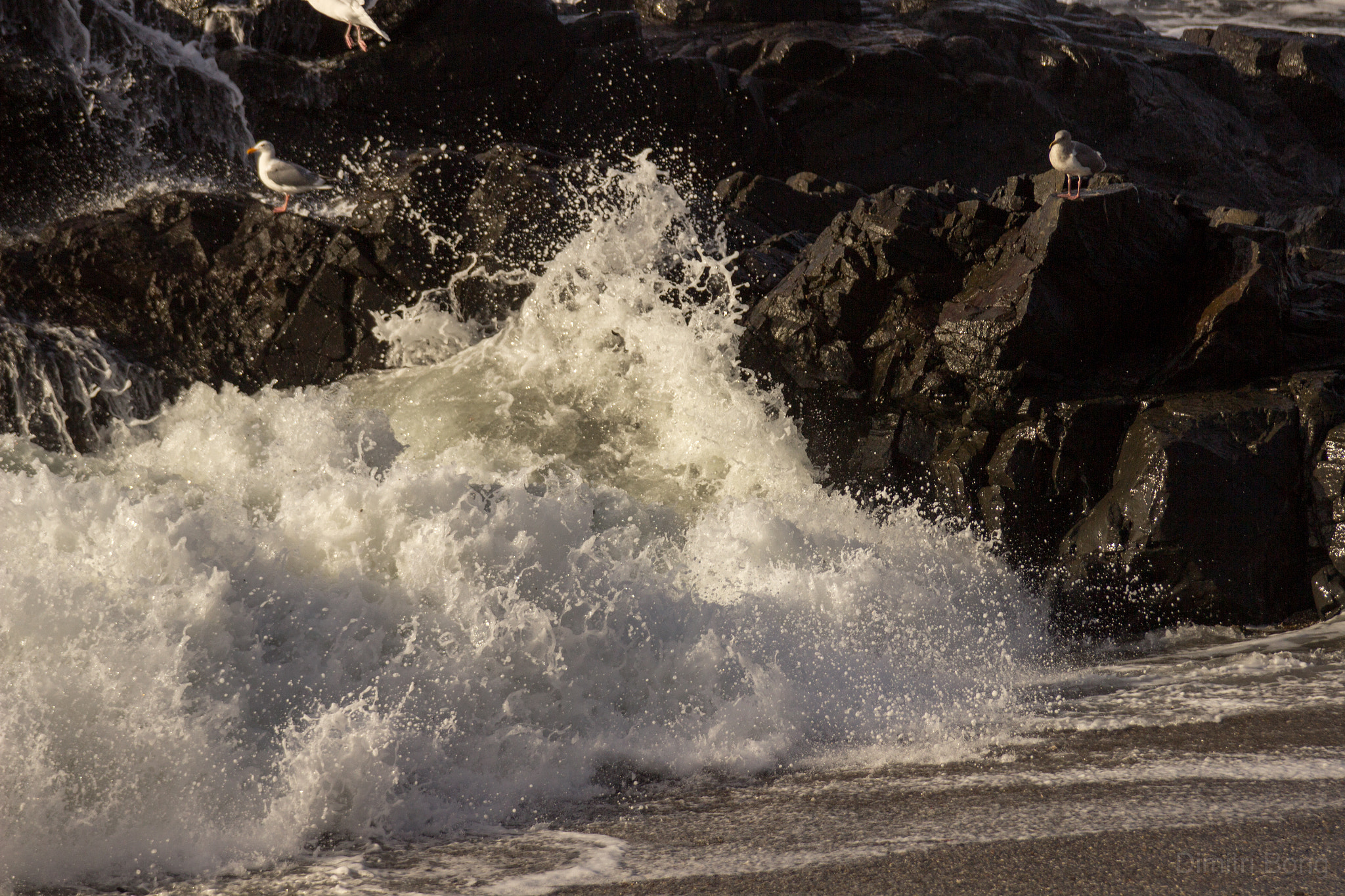 Canon EOS 600D (Rebel EOS T3i / EOS Kiss X5) sample photo. Oregon coast photography